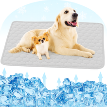 Load image into Gallery viewer, CoolPad™: the N.1 cooling pad