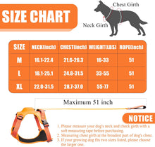 Load image into Gallery viewer, RetraHarn™:Your All-in-One Retractable Leash and Harness