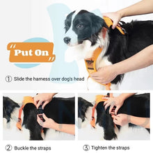 Load image into Gallery viewer, RetraHarn™:Your All-in-One Retractable Leash and Harness