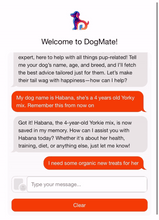 Cargar imagen en el visor de la galería, DogMate AI: Personalized Dog Care