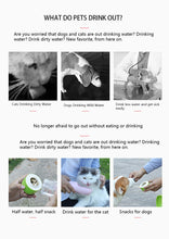 Load image into Gallery viewer, Magic Bottle: Food + Water