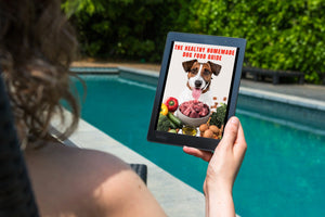 Healthy Homemade Dog Food Guide