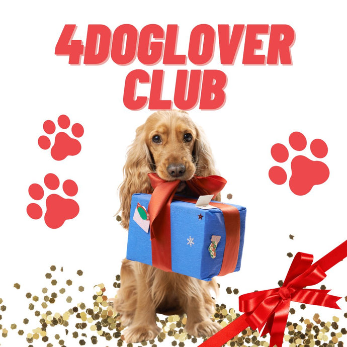 4DogLover Club - 1 surprise gift each month - Love4myDog