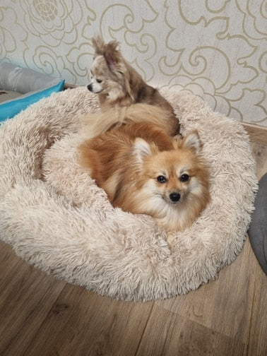 Fluffy: Dog calming bed