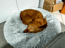 Load image into Gallery viewer, Fluffy: Dog calming bed