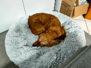 Fluffy: cama calmante para perros