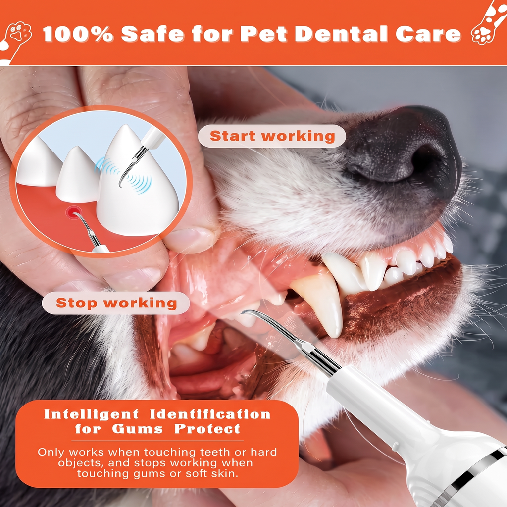BrightBite — Dog Dental Cleaning Kit