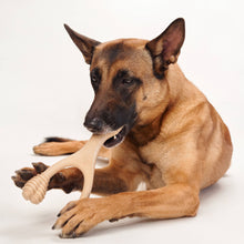 Load image into Gallery viewer, MODERATE Durability CHEW TOY: Perfect Chew for Everyday Chewers | Naturally Derived Ingredients, Eco-Friendly, Non-Toxic