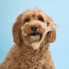 Load image into Gallery viewer, SOFT Durability CHEW TOY: Natural Plant-Based Ingredients, Perfect for Teething Puppies, Senior Dogs &amp; Gentle Chewers
