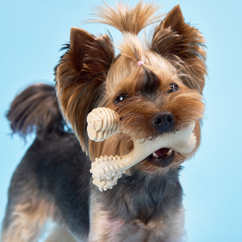 SOFT Durability CHEW TOY: Natural Plant-Based Ingredients, Perfect for Teething Puppies, Senior Dogs & Gentle Chewers