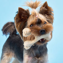 Load image into Gallery viewer, SOFT Durability CHEW TOY: Natural Plant-Based Ingredients, Perfect for Teething Puppies, Senior Dogs &amp; Gentle Chewers