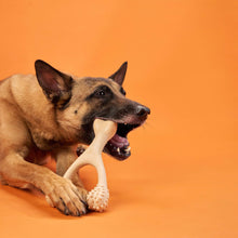 Load image into Gallery viewer, HARD DURABLE CHEW TOY: Naturally Derived Ingredients, eco-friendly, and for the toughest chewers!