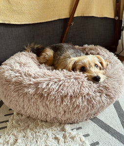 Fluffy: cama calmante para perros