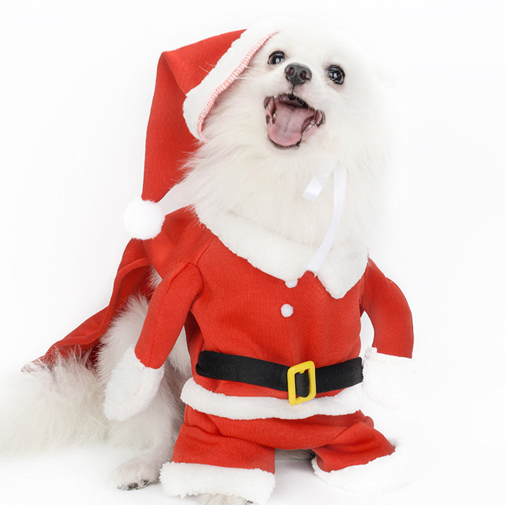 Santa Doggie Costume