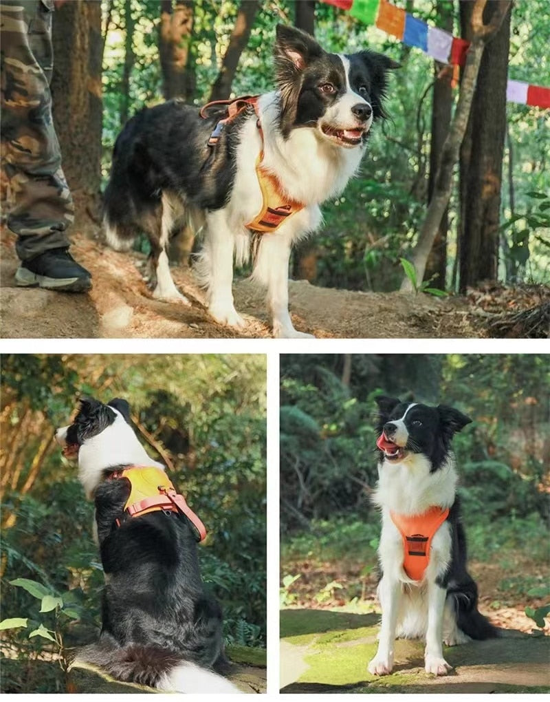 RetraHarn™:Your All-in-One Retractable Leash and Harness