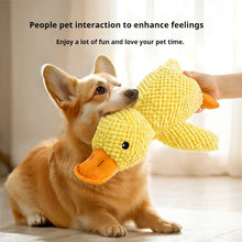 Load image into Gallery viewer, Ducky Duck™: calming toy