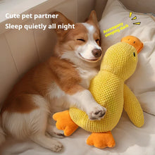Load image into Gallery viewer, Ducky Duck™: calming toy