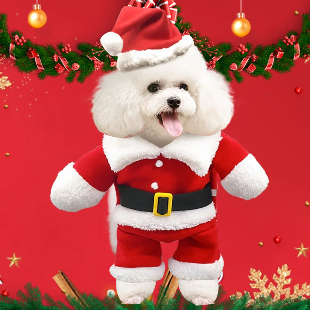 Santa Doggie Costume