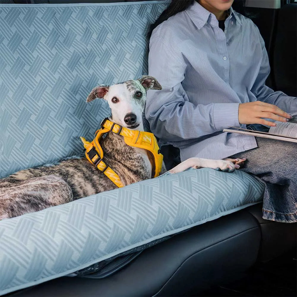 CoolRide: Cooling Seat Cover