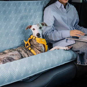 CoolRide: Cooling Seat Cover