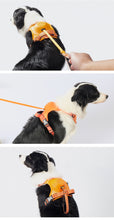 Load image into Gallery viewer, RetraHarn™:Your All-in-One Retractable Leash and Harness