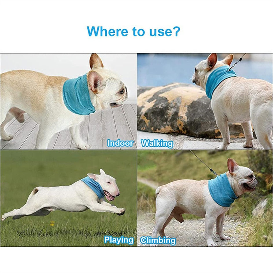 Cooling Collar: prevent heatstrokes