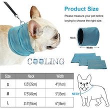 Load image into Gallery viewer, Heat Stroke Guard: Cooling Bandana