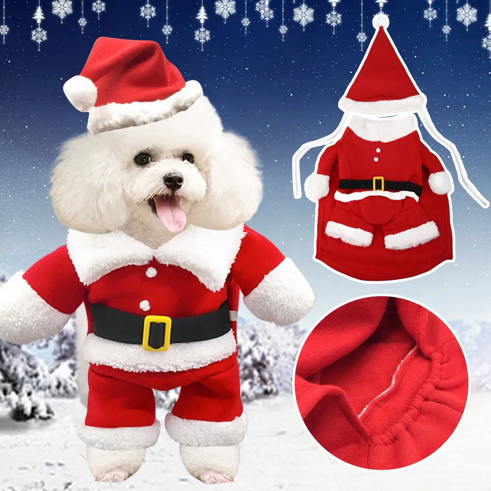 Santa Doggie Costume