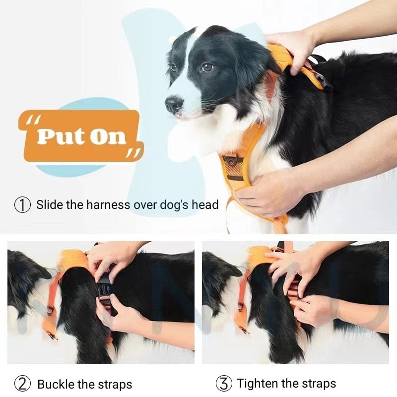 RetraHarn™:Your All-in-One Retractable Leash and Harness
