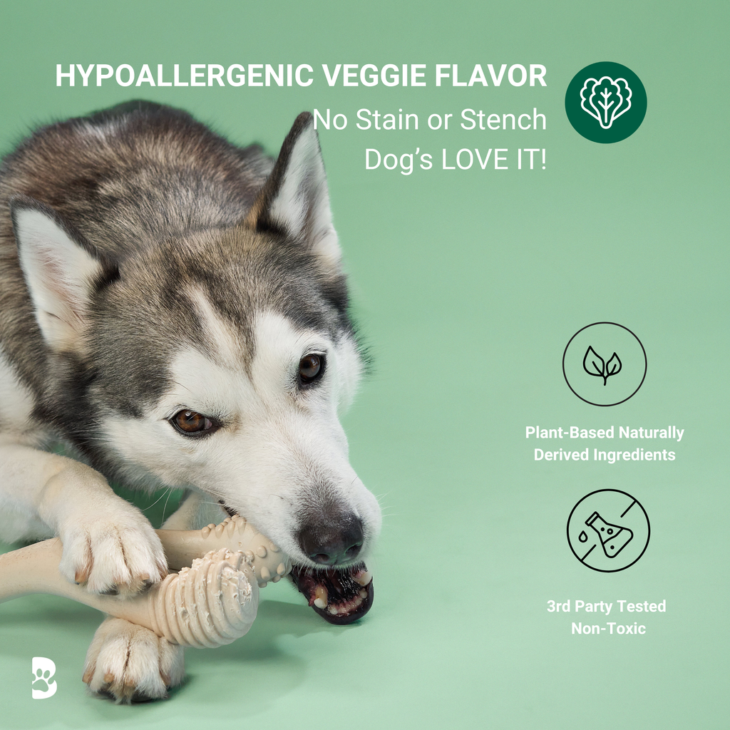 MODERATE Durability CHEW TOY: Perfect Chew for Everyday Chewers | Naturally Derived Ingredients, Eco-Friendly, Non-Toxic
