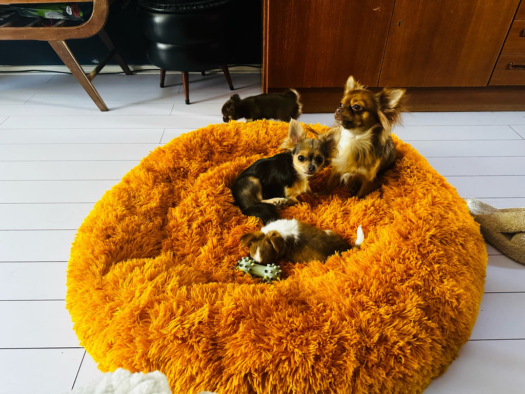 Fluffy: Dog calming bed