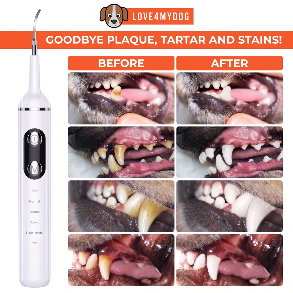 BrightBite — Dog Dental Cleaning Kit