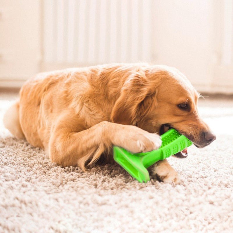 Brushing Stick - Love4myDog