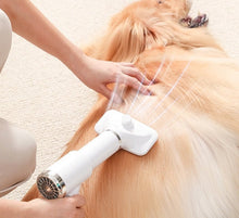 Cargar imagen en el visor de la galería, Brushy: 3 - In - 1 Pet Dryer - Love4myDog