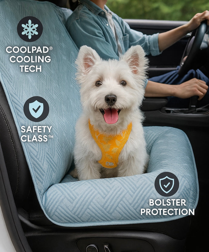 CoolRide: Cooling Seat Cover
