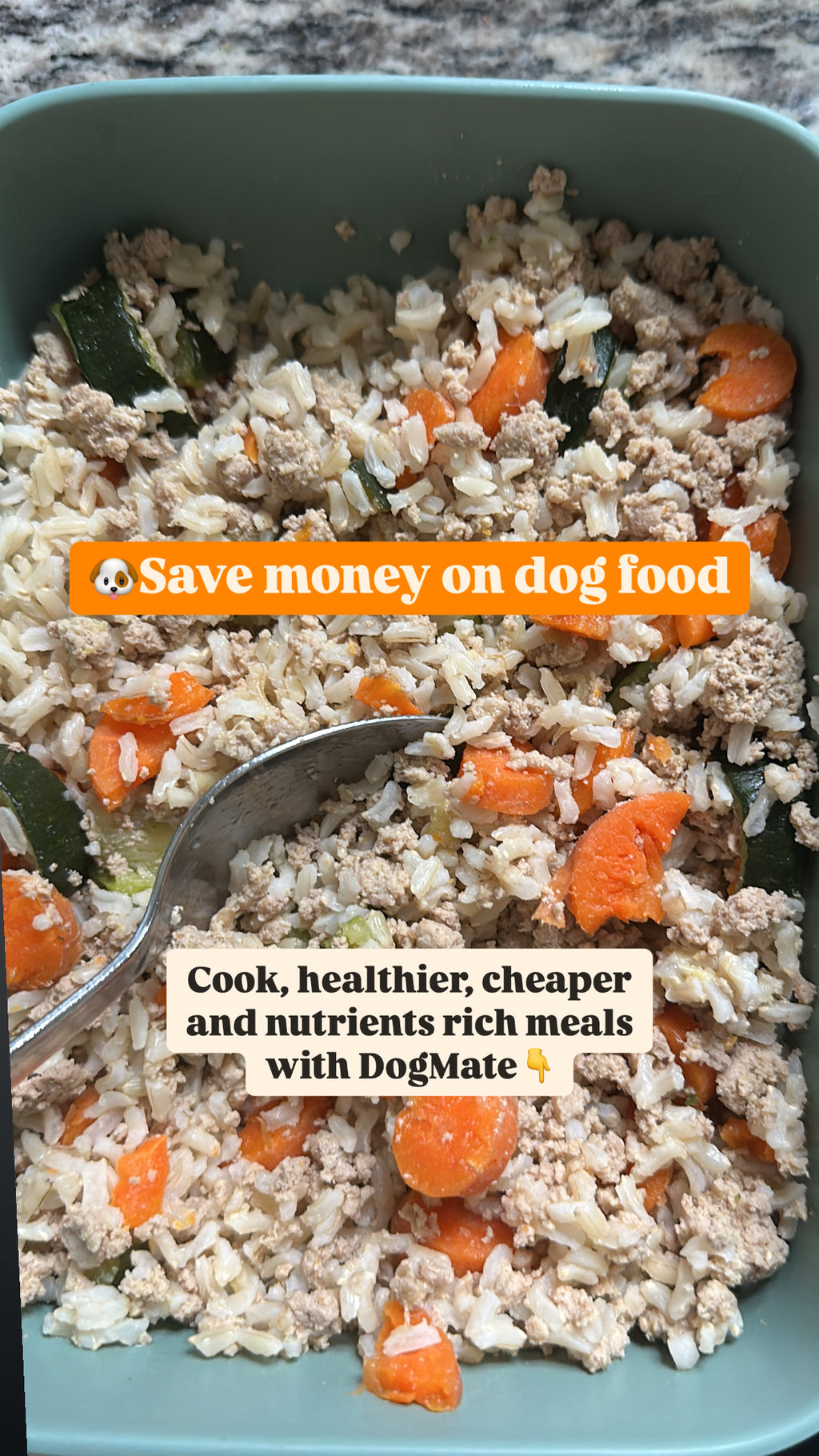 DogMate AI: Personalized Dog Care