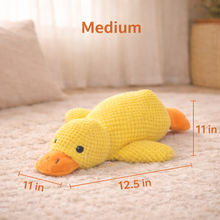 Load image into Gallery viewer, Ducky Duck™: calming toy