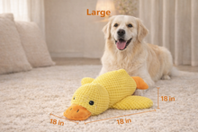 Load image into Gallery viewer, Ducky Duck™: calming toy