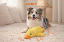 Load image into Gallery viewer, Ducky Duck™: calming toy