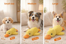 Load image into Gallery viewer, Ducky Duck™: calming toy