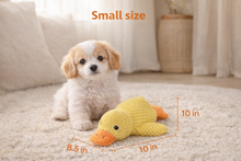 Load image into Gallery viewer, Ducky Duck™: calming toy