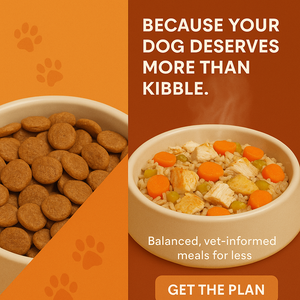 Weekly Homemade Dog Meal Plan + Portion Calculator