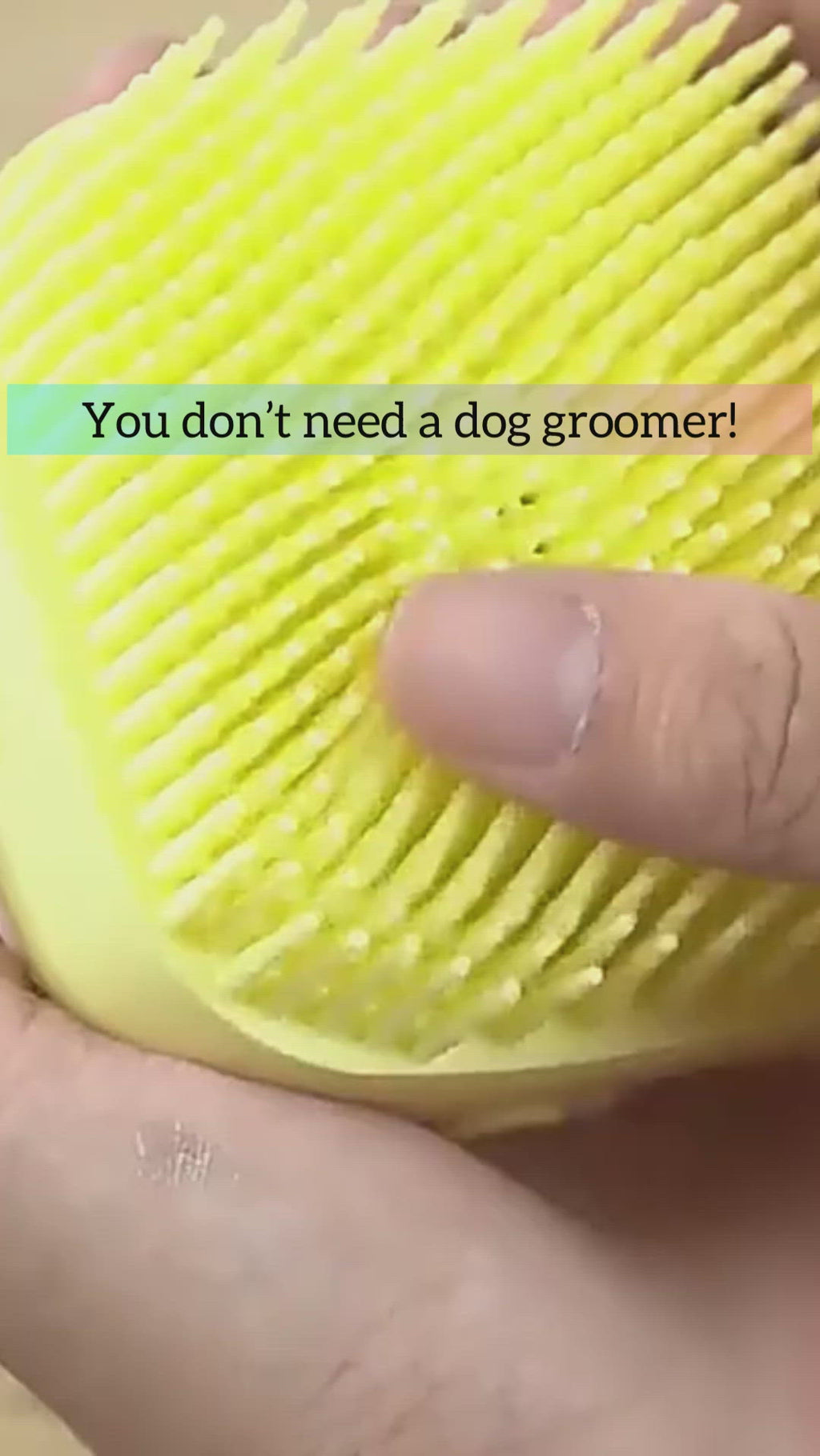 Bath Brushy
