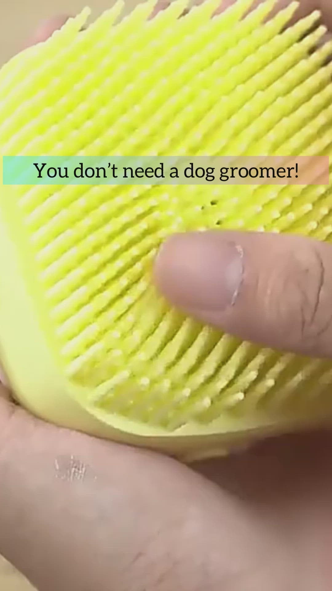Bath Brushy