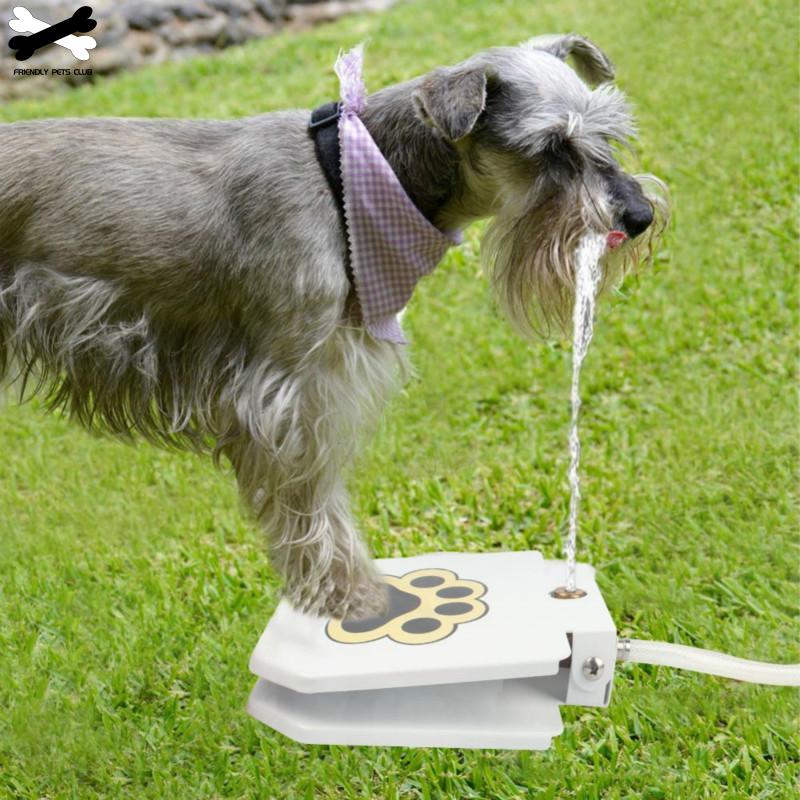 Water Fountain For Dogs