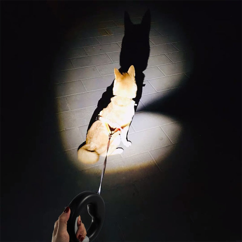 Magic Leash: Light your walks