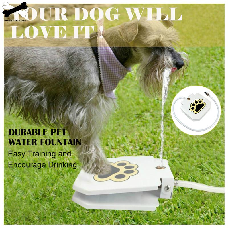 Water Fountain For Dogs