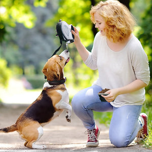 Smart Leash: all in one