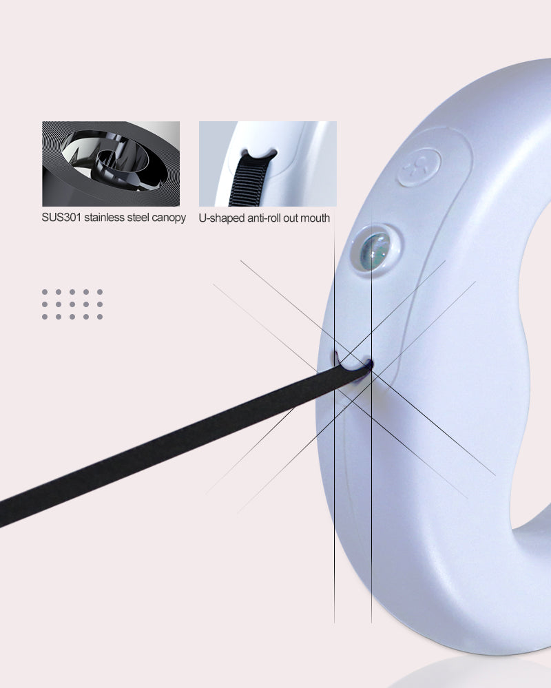 Magic Leash: Light your walks