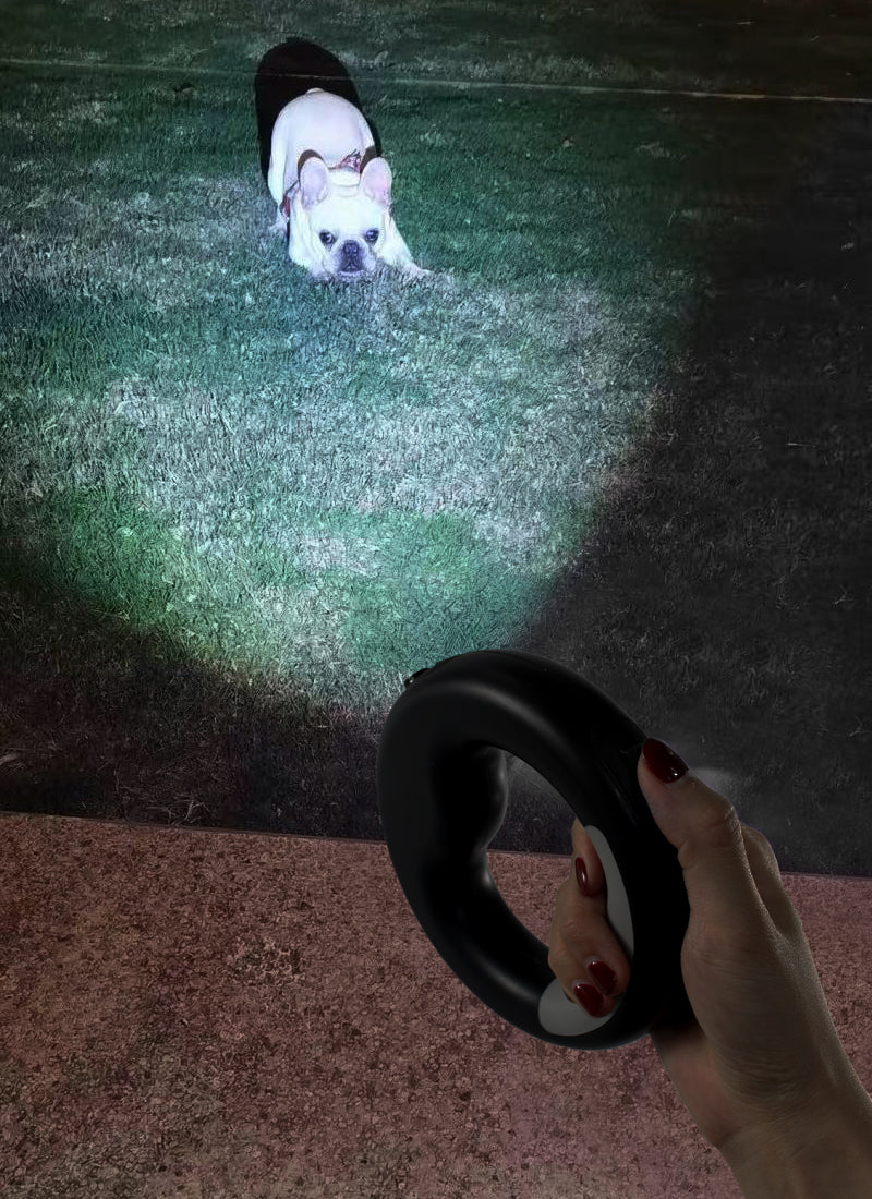 Magic Leash: Light your walks